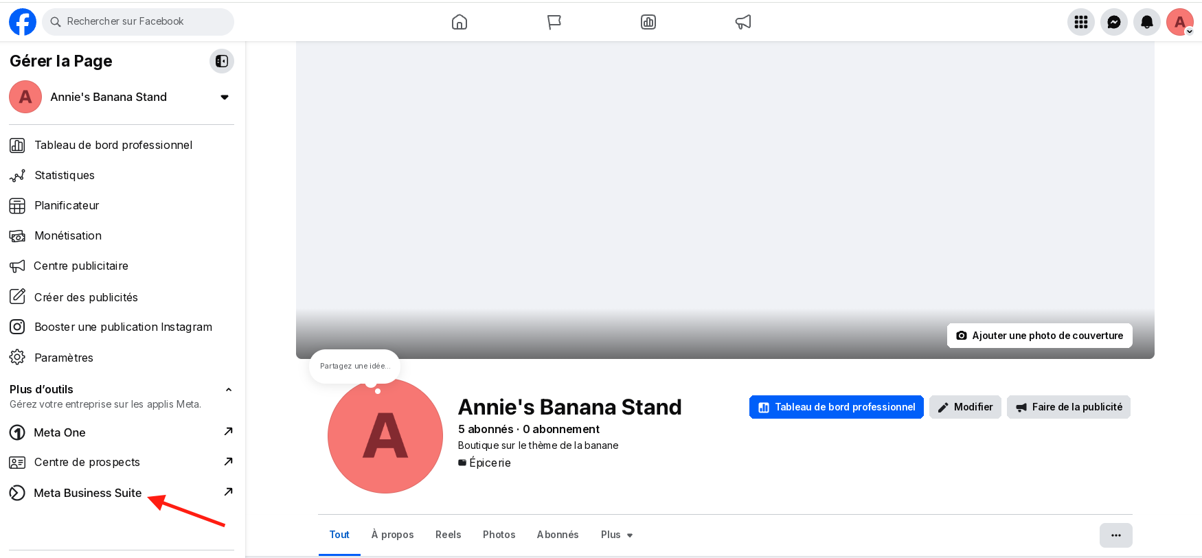 facebook_manage_page_2_FR.png